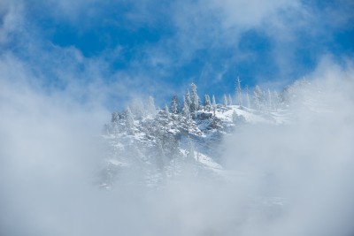 Clearing Snowstorm, Yosemite