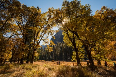 Cooks Meadow in Fall, Yosemite