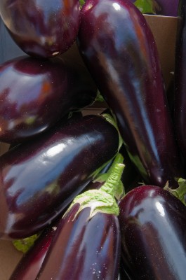Eggplant at Farmers' Market, Oxford, England