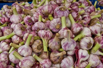 Garlic in Farmers' Market, Louhans, Burgundy