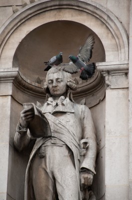Pigeon on Statue, Hotel de Ville, Paris