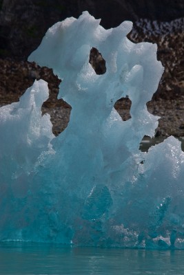 Iceberg Sculpture, Tracy Arm, Alaska