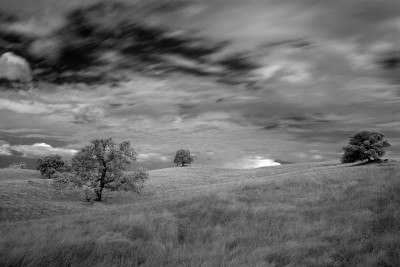 Oaks and Meadow, Sierra Nevada Foothills (infrared)