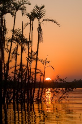 Sunset, Laguna Grande, Cuyabeno, Amazon
