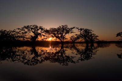 Laguna Grande Reflection, Cuyabeno, Amazon