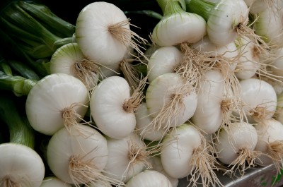 Onions at Farmers' Market, Louhans, Burgundy, France