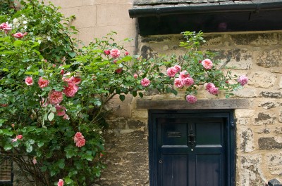 Roses and Doorway, Oxford, England