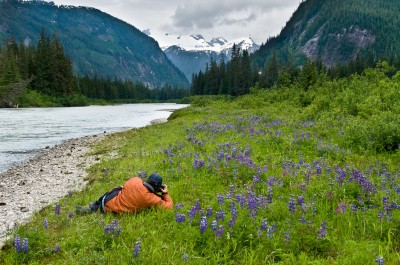 Photographer and Flowers, Stikine River, Alaska