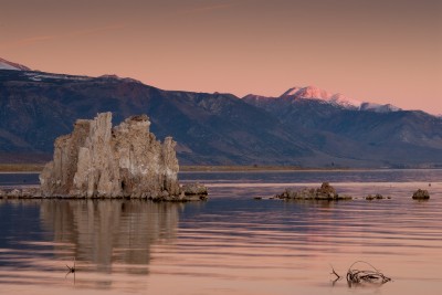 Pink Sunrise, Mono Lake and Sierra Nevadas