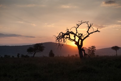 Sunset, Serengeti, Tanzania