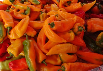 Sweet Orange Peppers, Placerville Farmers' Market